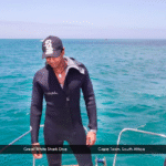 Screenshot 2025-12-02 at 16.52.11