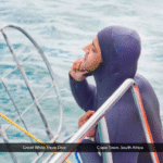 Screenshot 2025-12-02 at 16.52.29